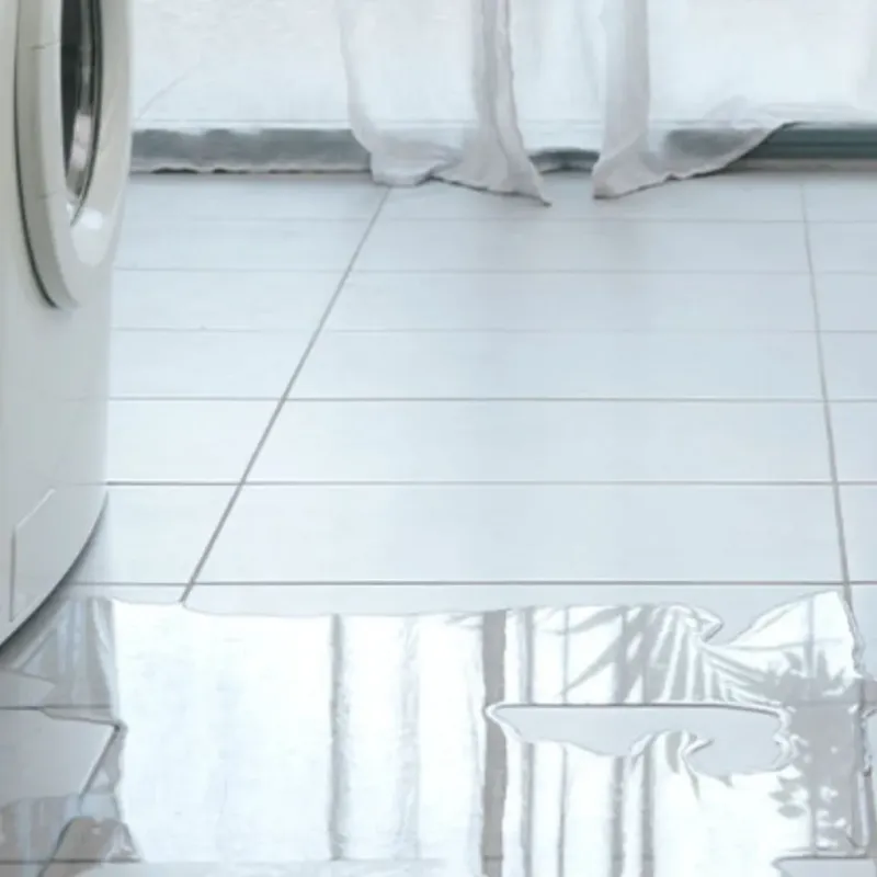 Appliance Leak Cleanup in Hemlock, MI