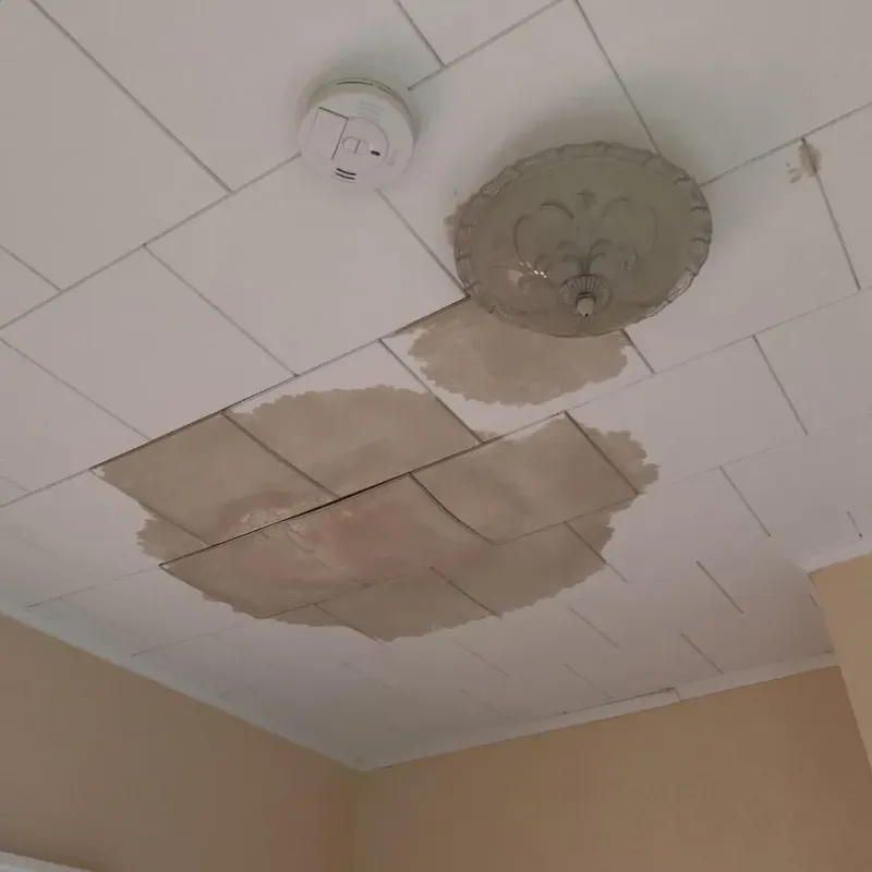 Ceiling Water Damage Repair in Hemlock, MI