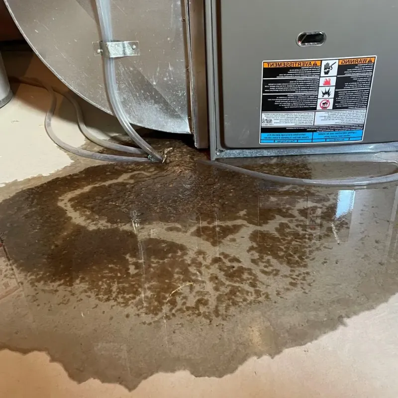 Pipe Burst and Leak Restoration in Hemlock, MI