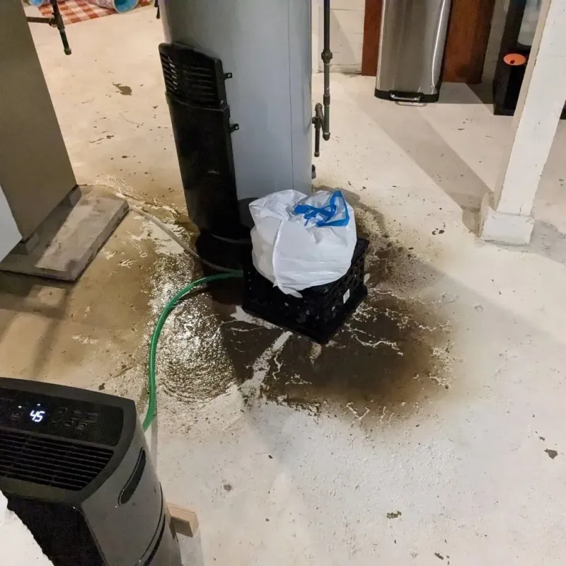 Sewage Backup Cleanup Service in Hemlock, MI